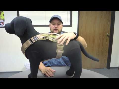 how to fit x back dog harness