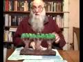 Hanukkah for Humanity