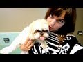 DOG TIPS???