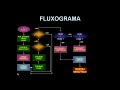 8ª de 8 aulas =  Algoritmo - Final