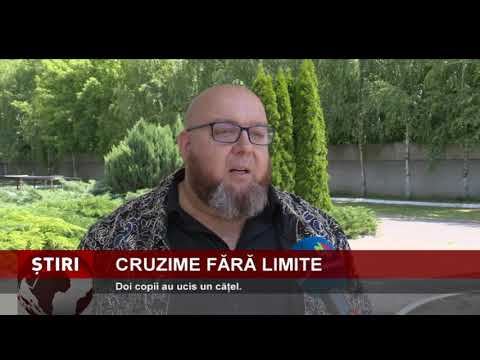 Cruzime fără limite: doi copii au ucis un cățel