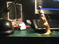 Raw Alien Test