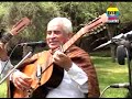Jilguero de Llata