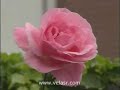 Berat Gecesi Nedir? 1 / 5 (RAHMETFORUM)