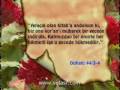 Berat Gecesi Nedir? 1 / 5 (RAHMETFORUM)