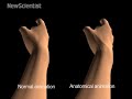 Virtual hand gets under the skin