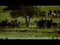 videos de Mysterious Journeys: The Ghosts of Gettysburg (2007) (Part 1 of 5)