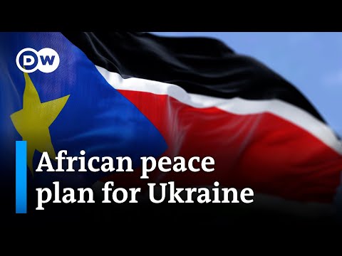 Analysts question African nations’ motivation as mediators in the Ukraine war
