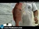 Marina Manners, Fish Facts on Red Snapper Marina Manners, Fish Facts on Red Snapper