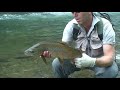Fly Fishing Nelson, New Zealand - 2 rivers