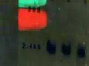 mega channel IXNH (original video Arxi tetlwn) mega channel IXNH (original video Arxi tetlwn)