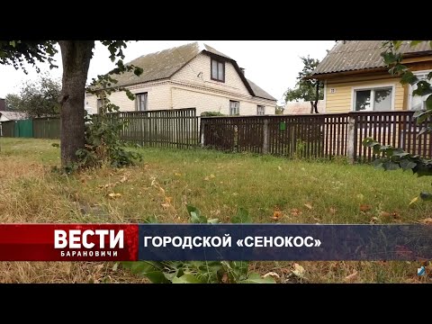 Вести Барановичи 21 августа 2020.