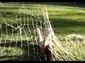 videos de Campo do União