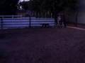 Rudi training pt 3