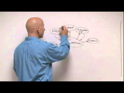 how to treat high cortisol levels