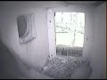 Pigeons check out an owl nest box Pigeons check out an owl nest box