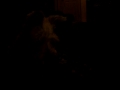 Lola hears a baby cry