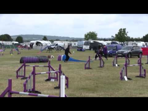 Axstane 21-06-2015 G5 Jumping - 7th place (Oz was 1/2 second slower)