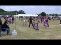 Axstane 21-06-2015 G5 Jumping - 7th place (Oz was 1/2 second slower)