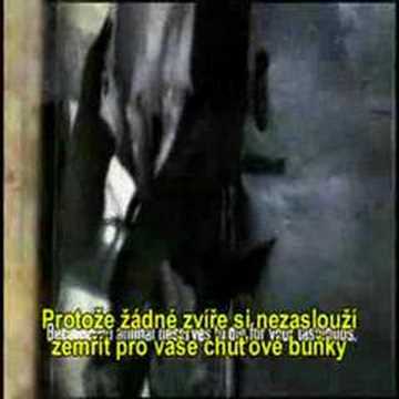 Youtube Video uLZazKco1e8