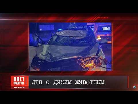 ПостФАКТум от 30.07.25.