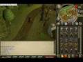 videos de Phills tips on how to make money in runescape as a non mem