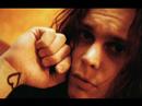 A Ville Valo, Amy Lee, and Adrienne Nesser Armstrong Romance