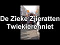 De Zieke Zjieratten Twiekierenniet 2012