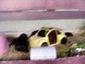 Guinea Pig Nursery