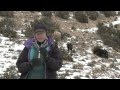 40th Anniversary of the Wild Horse & Burro Act - Atop the Pryor Mountains