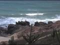 videos de Osez Voyager! E13: Sur le chemin à Jericoacoara