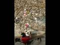 Assistir ao v�deo