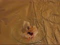 Manganese heptoxide and tissue paper