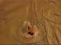 Manganese heptoxide and tissue paper