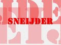 Wesley Sneijder