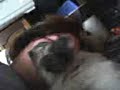Wake Up, Mommy!