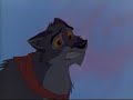balto-hates-everything-about-steele.html