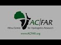 CFAR Testimonies: John Divito