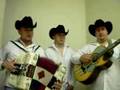 Tu 50% con bajo sexto y acordion