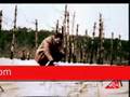 Yavuz Bing�l Nisan Yagmuru