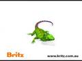 Dancing Britz Lizard