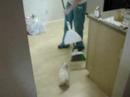 Milo vs The Broom.