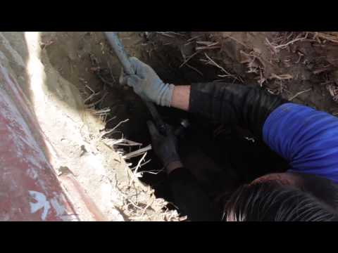 how to locate cleanout