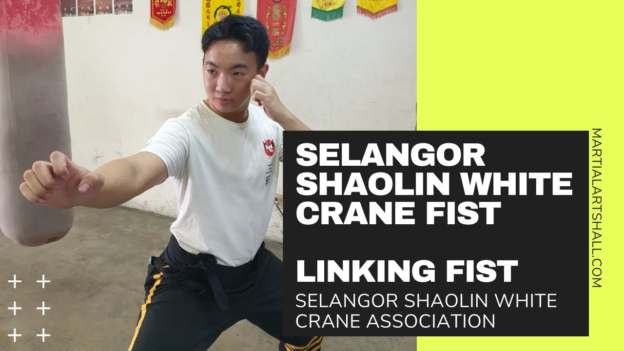 Selangor Shaolin White Crane Fist : Linking Fist