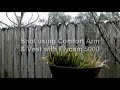 Comfort Arm & Vest with Flycam 5000