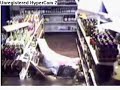 World's dumbest criminal! (with music) World's dumbest criminal! (with music)