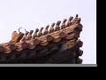 Travel China Beijing- the Forbidden City ??????