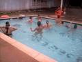 videos de paseo melgar familia camelo