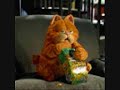 now your gone garfield
