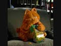 now your gone garfield